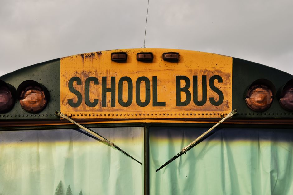 school bus school bus